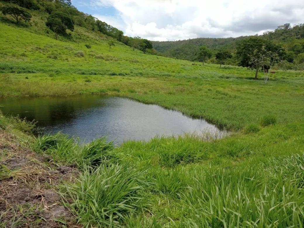 Fazenda à venda, Almenara, Almenara, MG