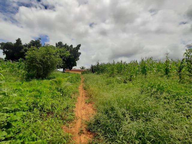 Chácara à venda, Zona Rural, Coronel Murta, MG
