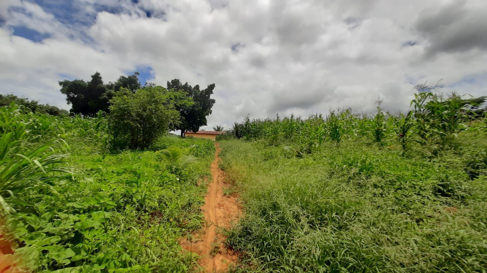 Chácara à venda, Zona Rural, Coronel Murta, MG