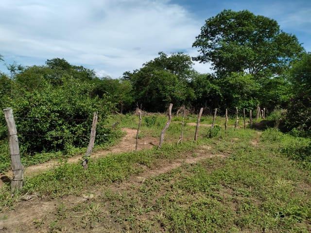 Sítio à venda, Zona Rural, Araçuaí, MG
